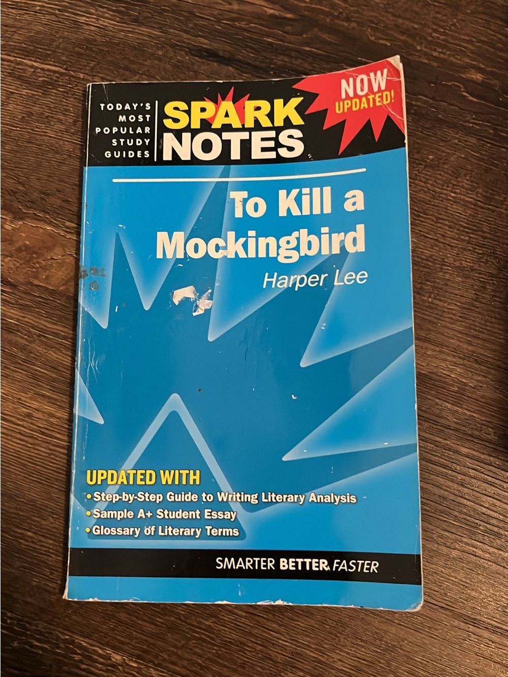 To Kill a Mockingbird Study Guide - Blue